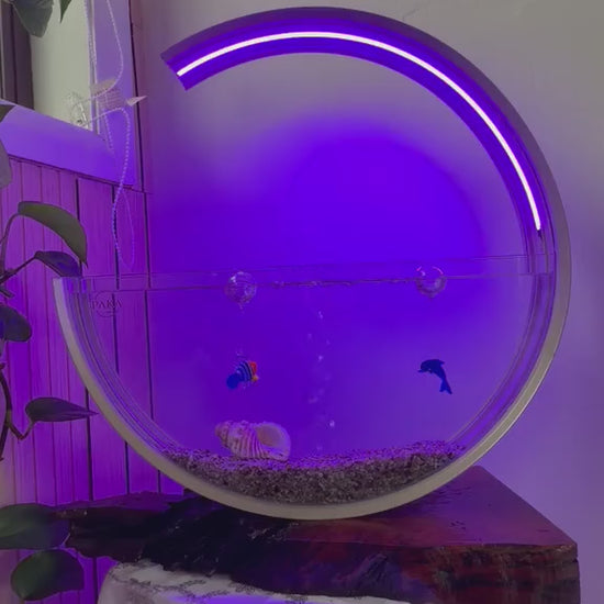 Luna Moon Aquarium cycling through its RGB light colours