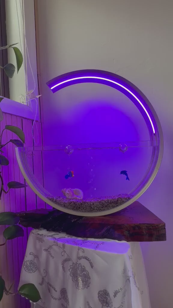 Luna Moon Aquarium cycling through its RGB light colours