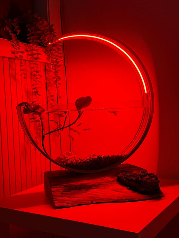Moon aquarium in red light